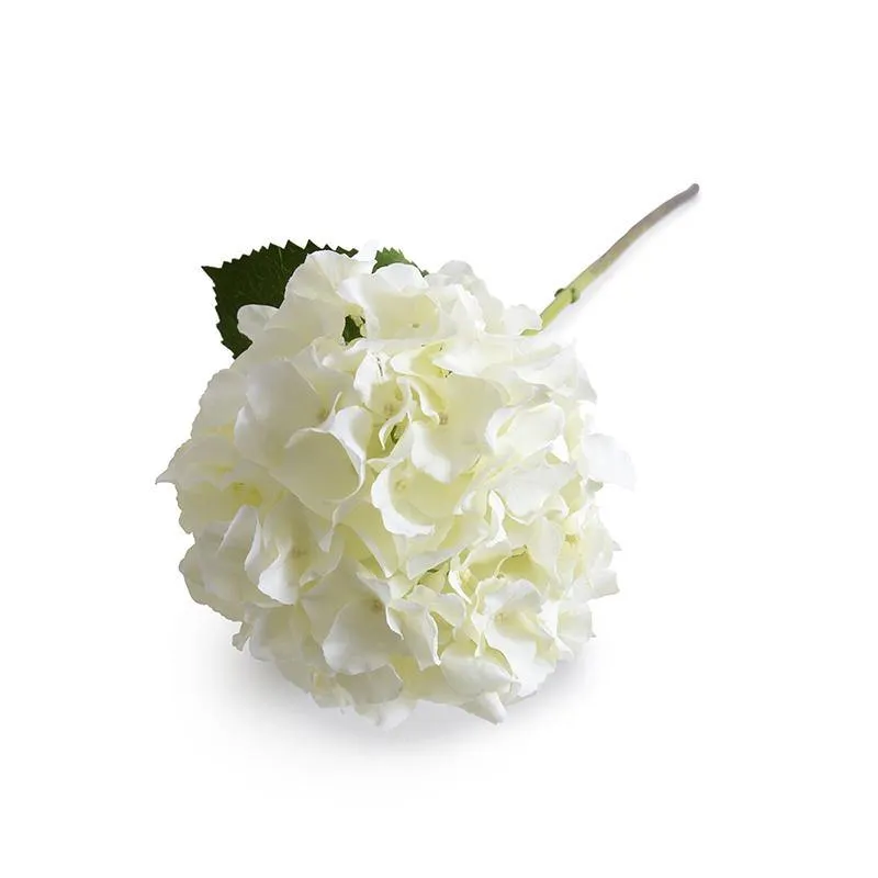 Hydrangea Stem, 21" L, Cream-white