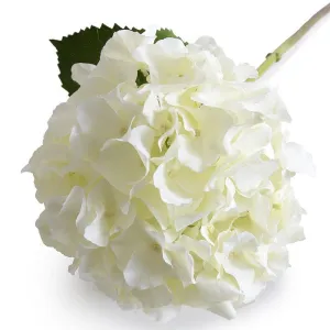 Hydrangea Stem, 21" L, Cream-white